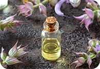 Clary Sage Essential Oil (France) 