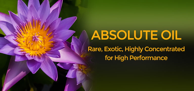 Absolute Oils at Wholesale Prices from New Directions Aromatics