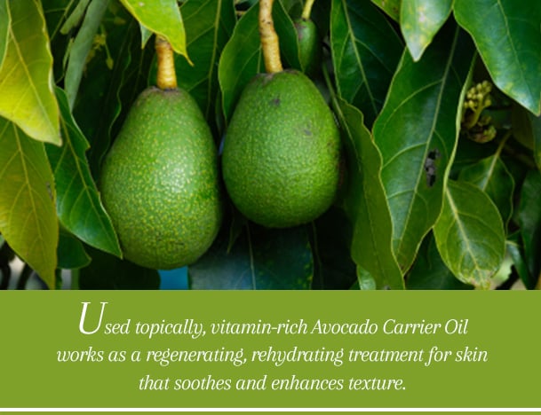 Avocado Oil Benefits—and Why We Love Avocado Oil for Hair