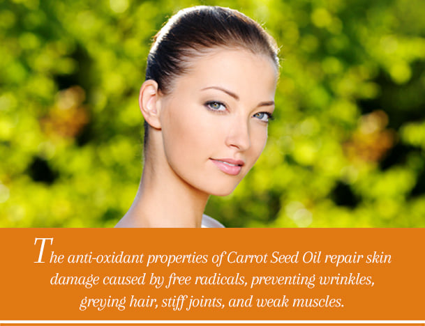 Carrot Seed Oil - Benefits For Revitalized And Healthy Skin & Hair