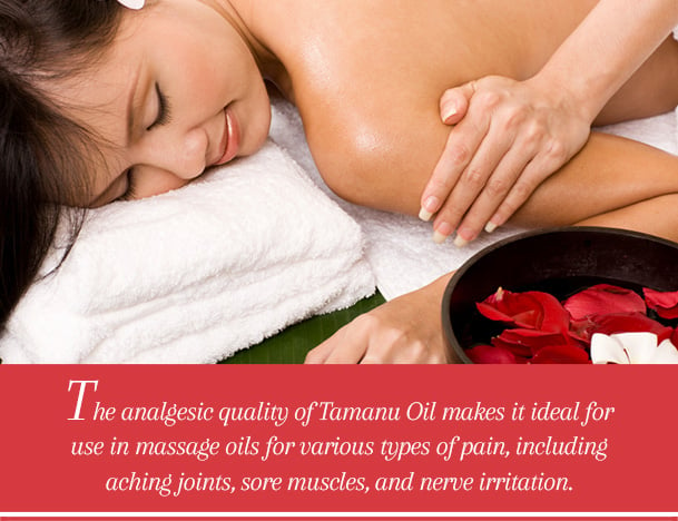 Pure tamanu oil benefits for skin: meet the miracle! | Natural oils for  skin, Tamanu oil, Oil benefits