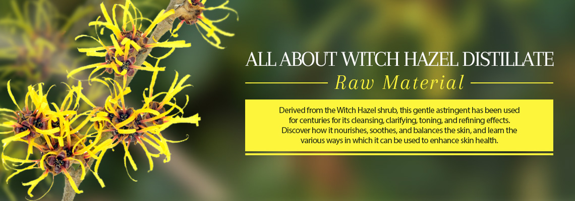 ALL ABOUT WITCH HAZEL DISTILLATE