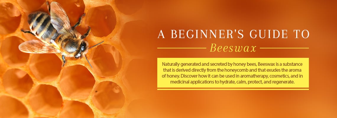 A BEGINNER'S GUIDE TO BEESWAX