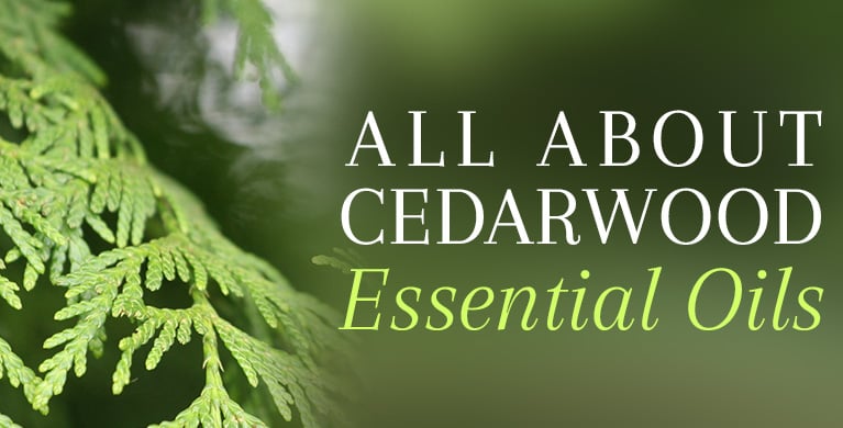 ALL ABOUT CEDARWOOD OIL