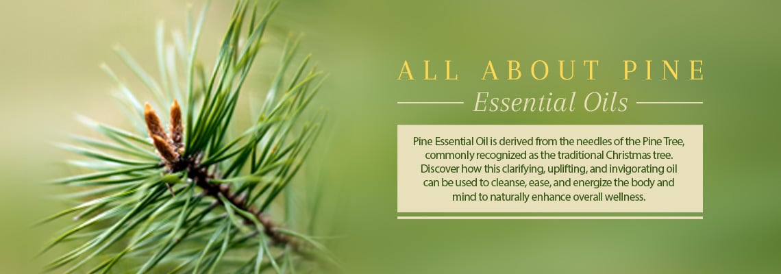 ALL ABOUT PINE OIL