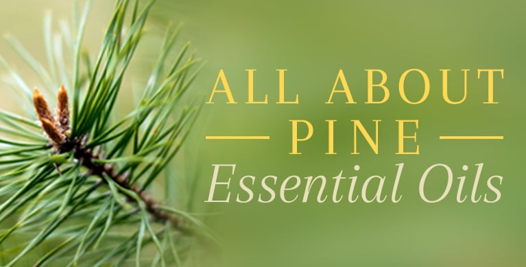 ALL ABOUT PINE OIL
