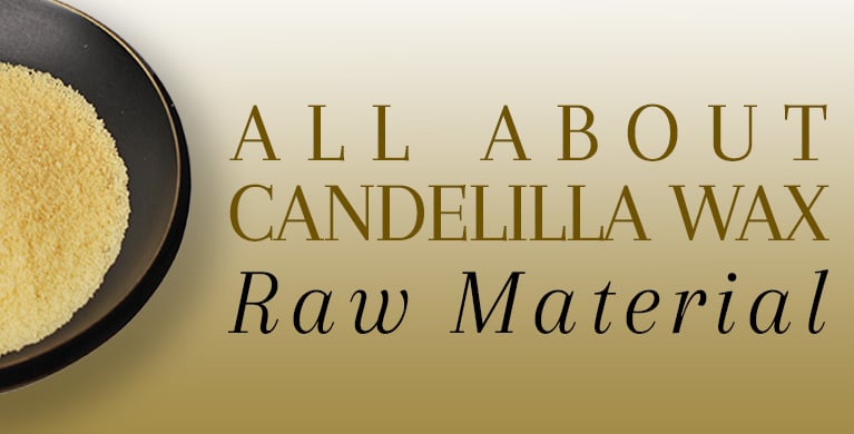 ALL ABOUT CANDELILLA WAX