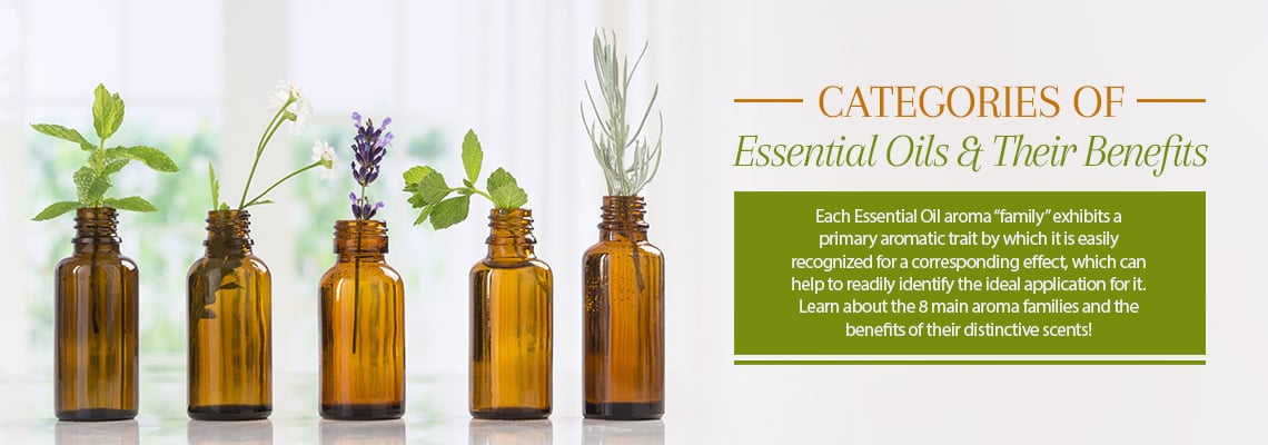 CATEGORIES OF ESSENTIAL OILS &amp; THEIR BENEFITS