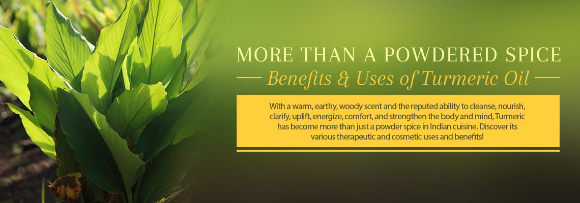 MORE THAN A POWDERED SPICE – BENEFITS &amp; USES OF TURMERIC OIL