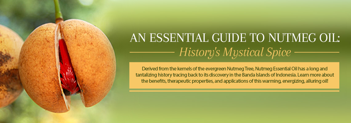 AN ESSENTIAL GUIDE TO NUTMEG OIL: HISTORY'S MYSTICAL SPICE