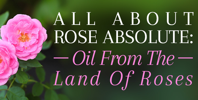 ALL ABOUT ROSE ABSOLUTE: OIL FROM THE LAND OF ROSES