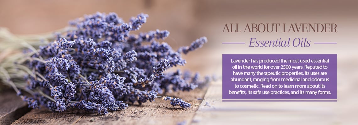 Lavender Oil - Benefits & Uses of Lavender Oil