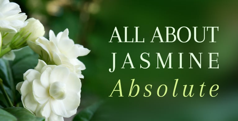 ALL ABOUT JASMINE ABSOLUTE