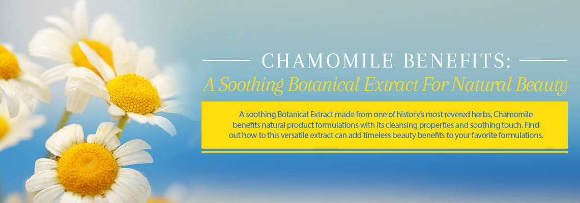 Chamomile Extract Benefits and Uses For Skin, Hair, and Natural Beauty