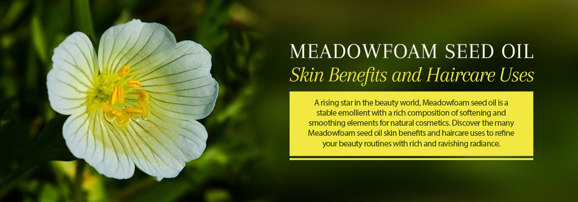 MEADOWFOAM SEED OIL: SKIN BENEFITS AND HAIRCARE USES