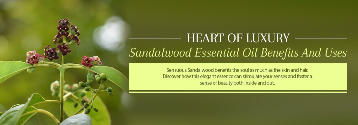 SANDALWOOD ESSENTIAL OIL BENEFITS AND USES