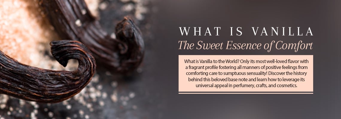 WHAT IS VANILLA: THE SWEET ESSENCE OF COMFORT