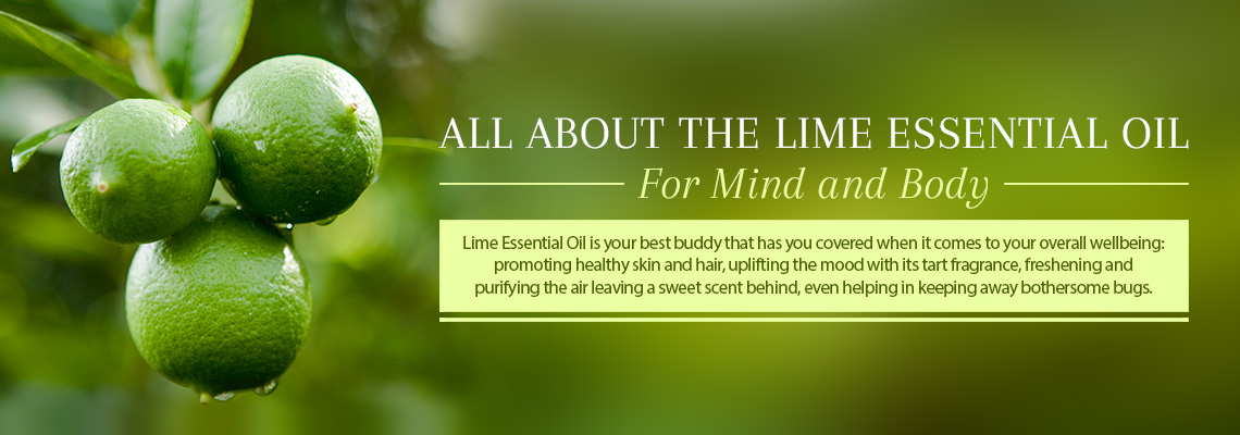 ALL ABOUT THE LIME ESSENTIAL OIL - FOR MIND AND BODY