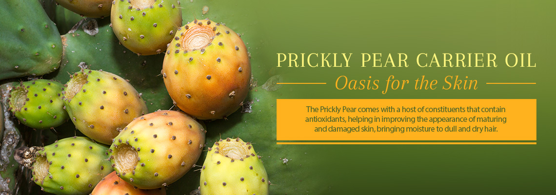 Prickly Pear Carrier Oil - Deeply Conditioning Oil For Skin and Hair