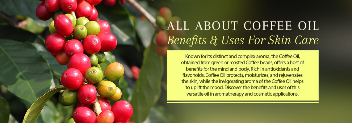 ALL ABOUT COFFEE OIL - BENEFITS AND USES FOR SKIN CARE
