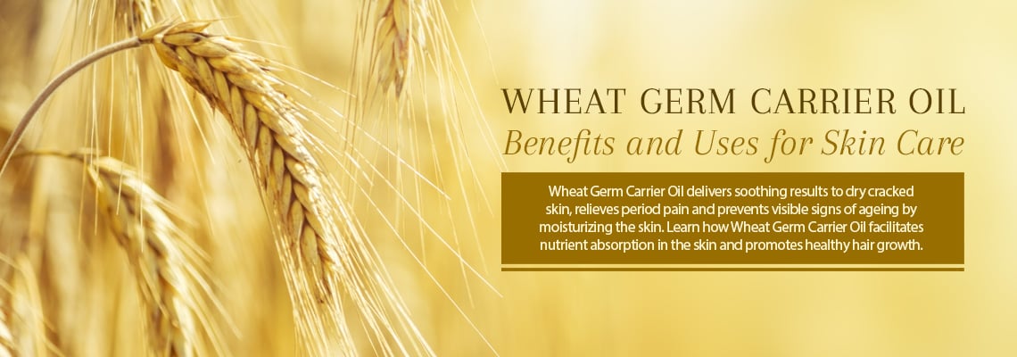 WHEAT GERM CARRIER OIL - BENEFITS AND USES FOR SKIN CARE