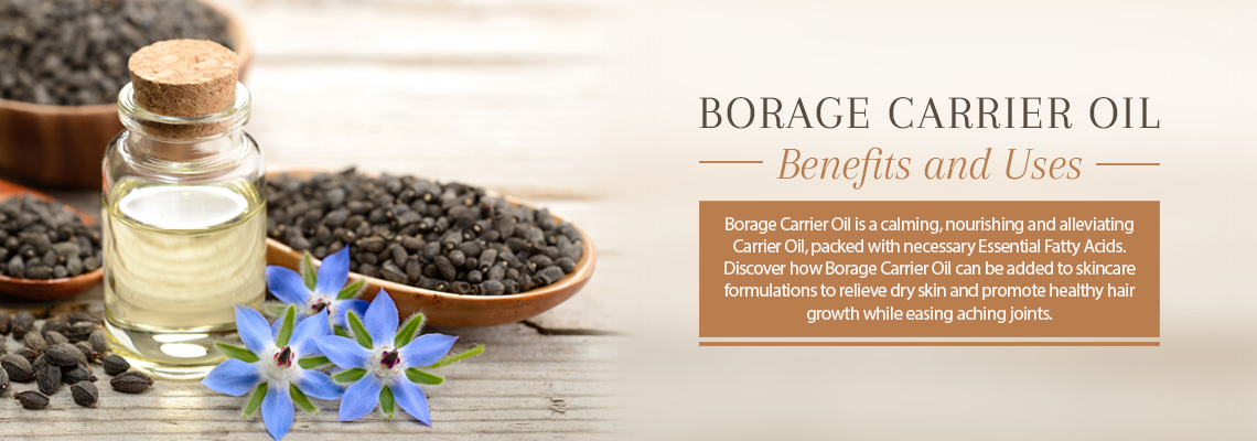 BORAGE CARRIER OIL - BENEFITS AND USES