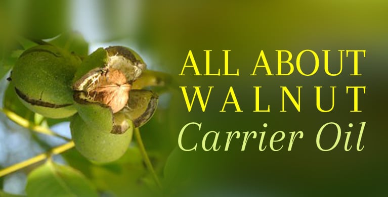 Discover how Walnut Carrier Oil provides the nutrients needed for maintaining smooth and radiant-looking skin. Learn all about how Walnut Carrier Oil reduces the appearance of scars, soothes cracked skin, and relaxes swollen and stiff joints.