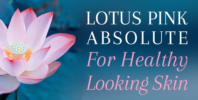 Learn all about how Lotus Pink Absolute helps relax the mind during meditation with its exotic aroma and how it can provide the nutrients that promote moisture retention needed for maintaining a smooth and healthy-looking skin. 