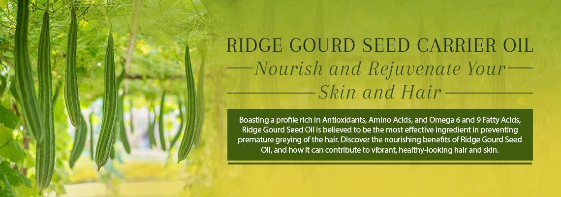 RIDGE GOURD SEED CARRIER OIL: NOURISH AND REJUVENATE YOUR SKIN AND HAIR