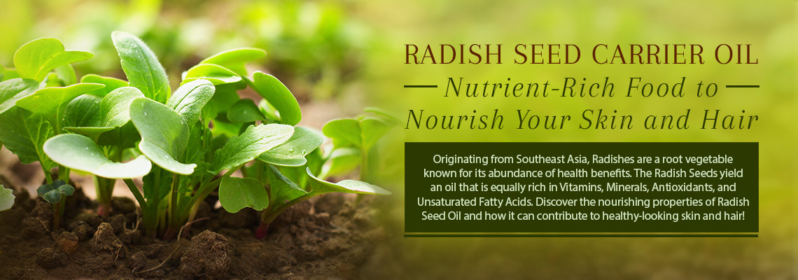RADISH SEED CARRIER OIL: NUTRIENT-RICH FOOD TO NOURISH YOUR SKIN AND HAIR