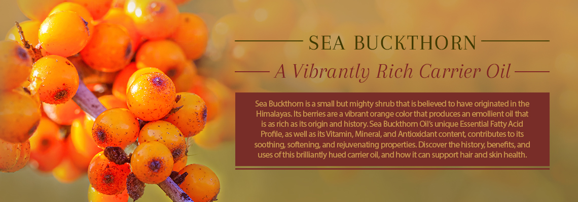 SEA BUCKTHORN: A VIBRANTLY RICH CARRIER OIL