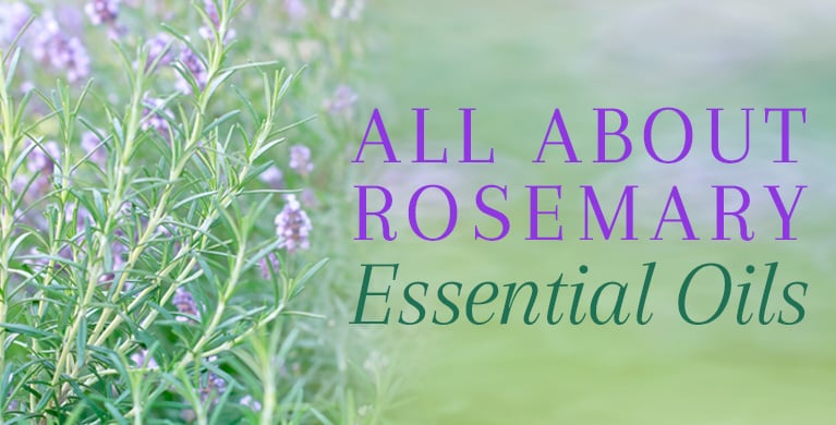 ALL ABOUT ROSEMARY OIL