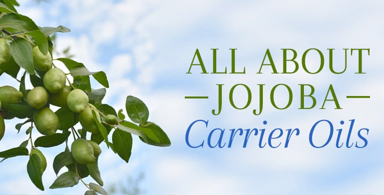 ALL ABOUT JOJOBA CARRIER OIL