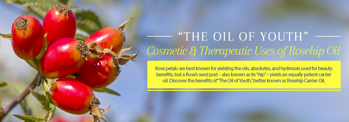 Rosehip Oil - The Fountain Of Youth - Benefits & Uses For Face & Skin
