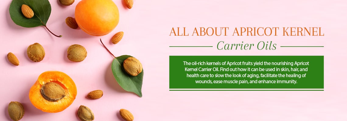 Apricot Kernel Oil - A Light & Quick-Absorbing Oil - Skin & Hair Care
