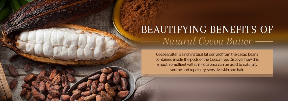 Cocoa Butter - Benefits & Uses for Ultimate Skin Care & Personal Care