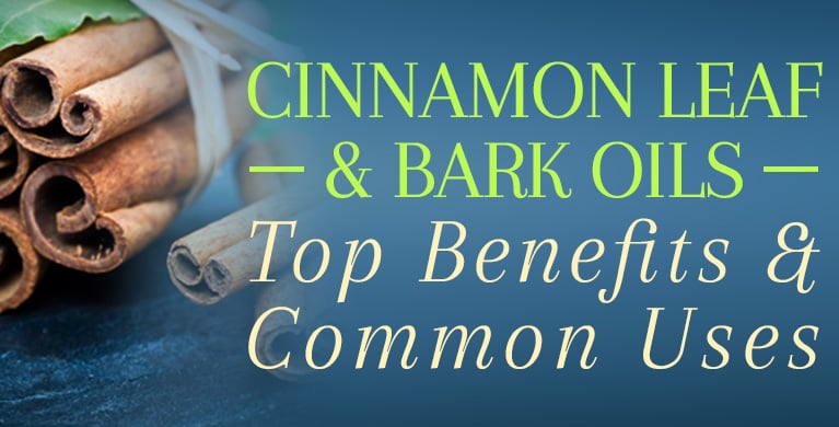 CINNAMON LEAF &amp; BARK OILS – TOP BENEFITS &amp; COMMON USES