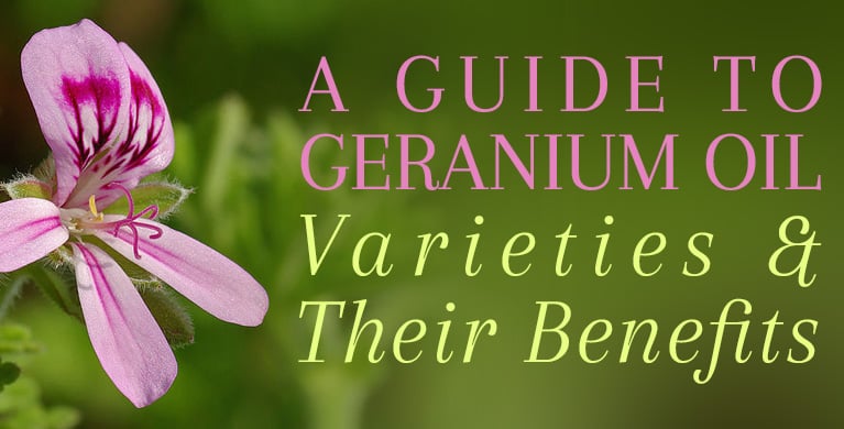 A GUIDE TO GERANIUM OIL VARIETIES &amp; THEIR BENEFITS