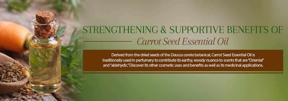STRENGTHENING &amp; SUPPORTIVE BENEFITS OF CARROT SEED ESSENTIAL OIL