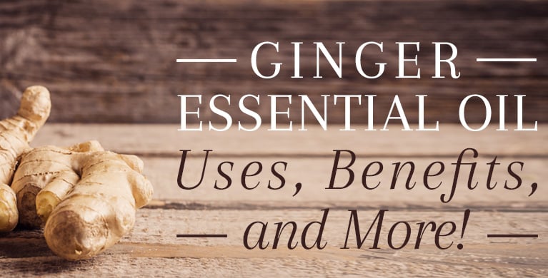 GINGER ESSENTIAL OIL: USES, BENEFITS, AND MORE!