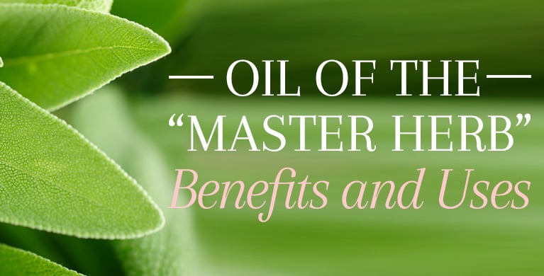 Sage Oil - Benefits & Uses of a Powerful Stimulant For Body & Mind