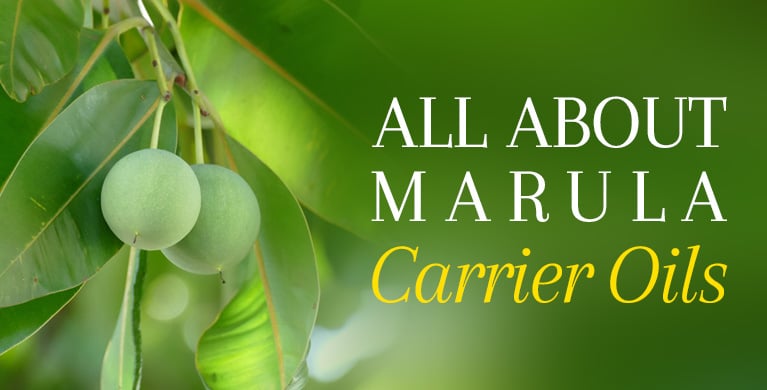 ALL ABOUT MARULA OIL