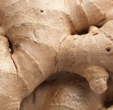 Ginger Root Essential Oil - Fresh 