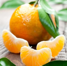 Tangerine Fragrance Oil