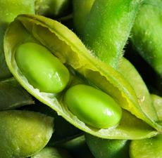Soya Bean Organic Carrier Oil