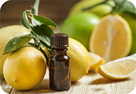 Lemon (Sicily) Essential Oil