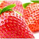 Strawberry Lip Balm Flavor
