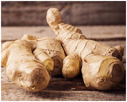 Ginger Root Essential Oil - Dried